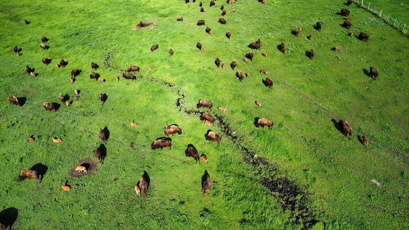 Prairie Sky Guest & Game Ranch - Photo 5