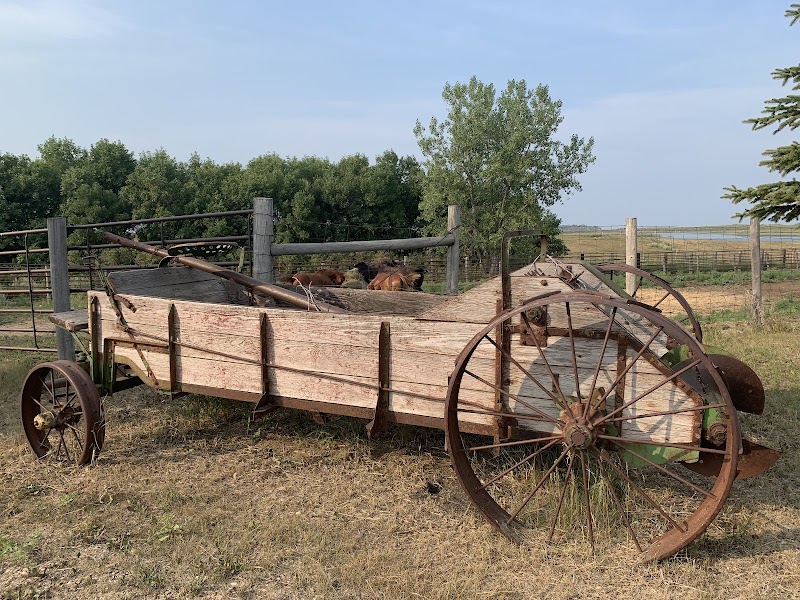 Prairie Sky Guest & Game Ranch - Photo 6