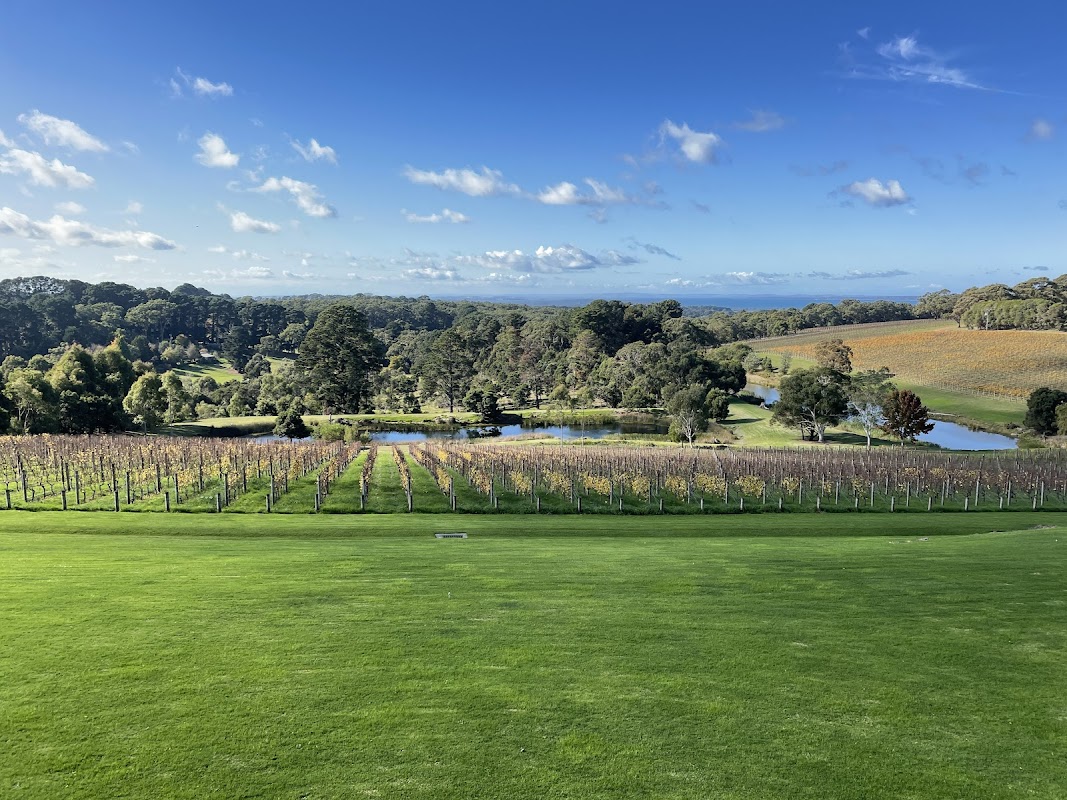 Port Phillip Estate and Kooyong Wines