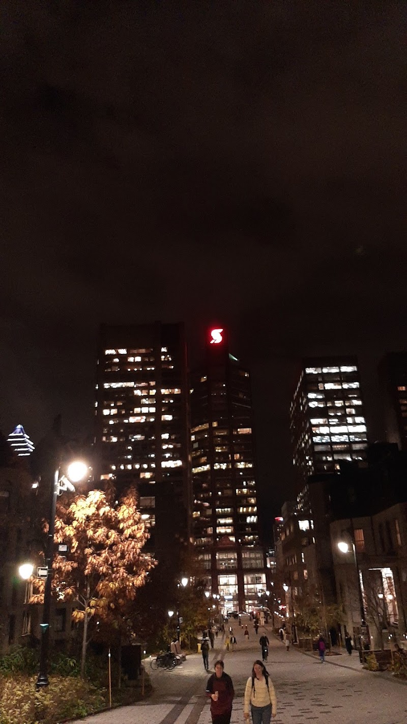 MSA McGill Office photo 2