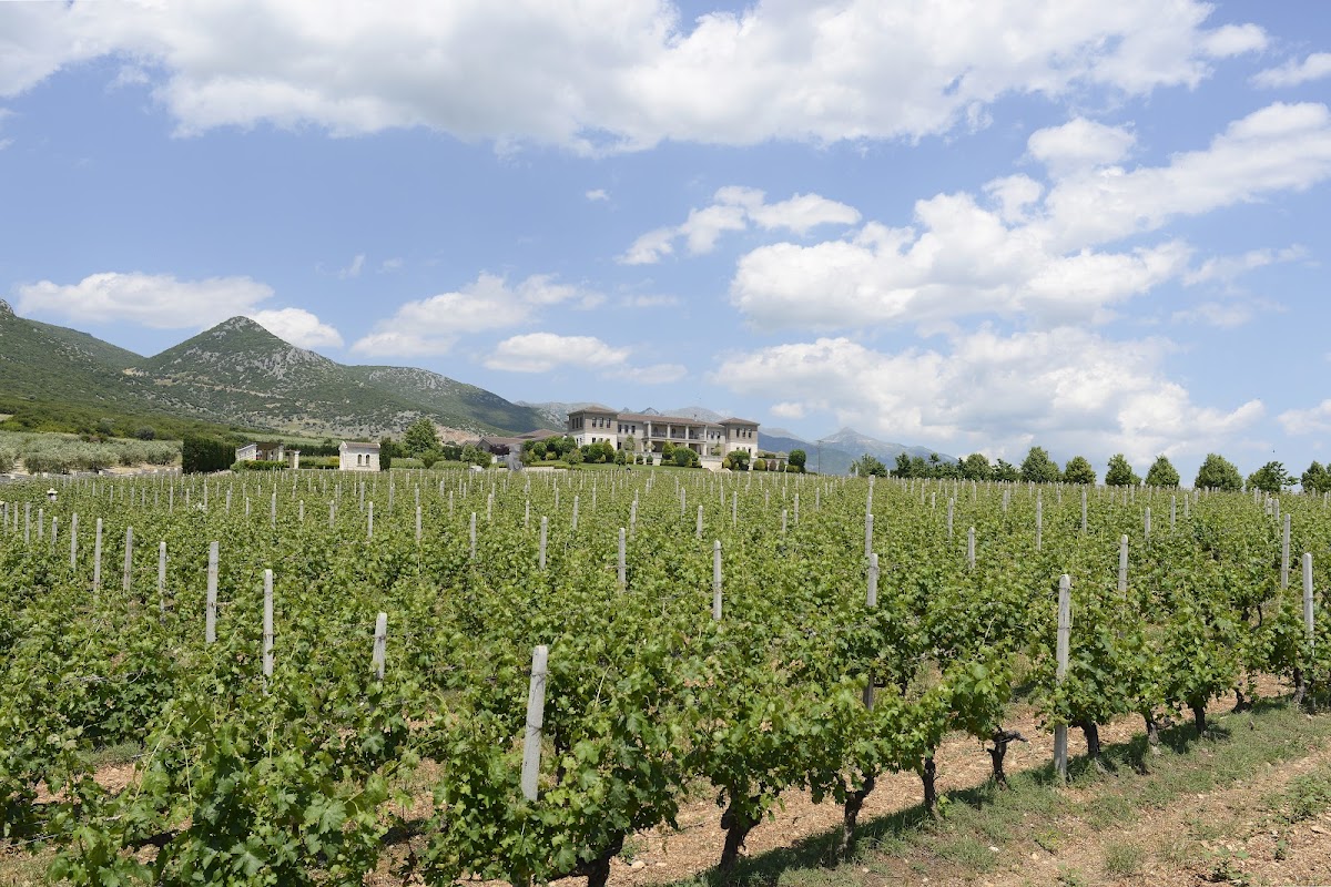 Ktima Biblia Chora Winery