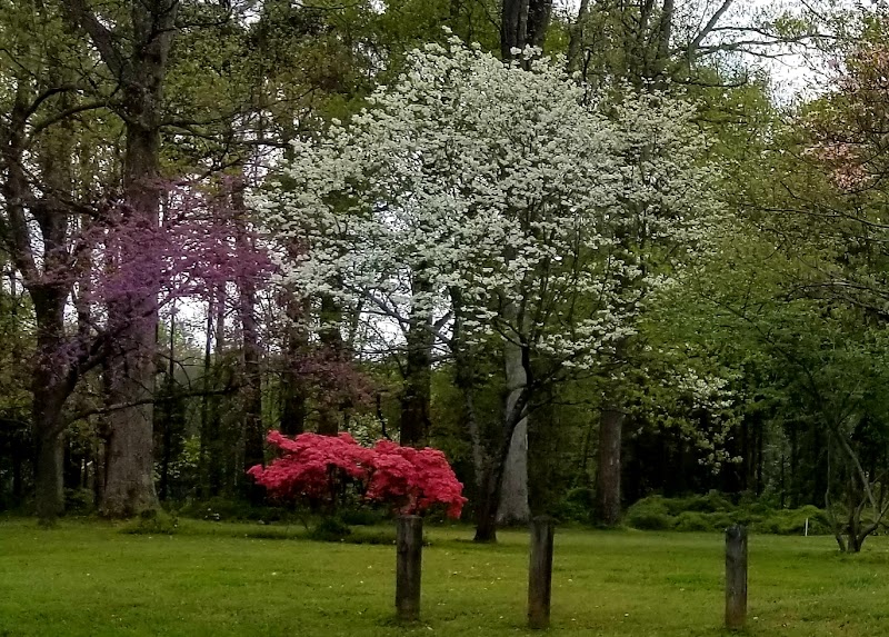 Sugar Creek Park Disc Golf Course photo 5