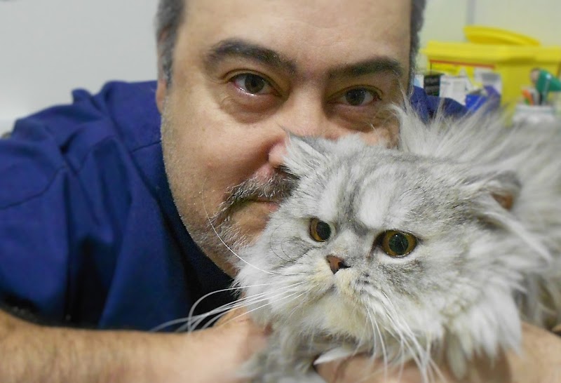 Clínica Veterinaria Nova Albeitería