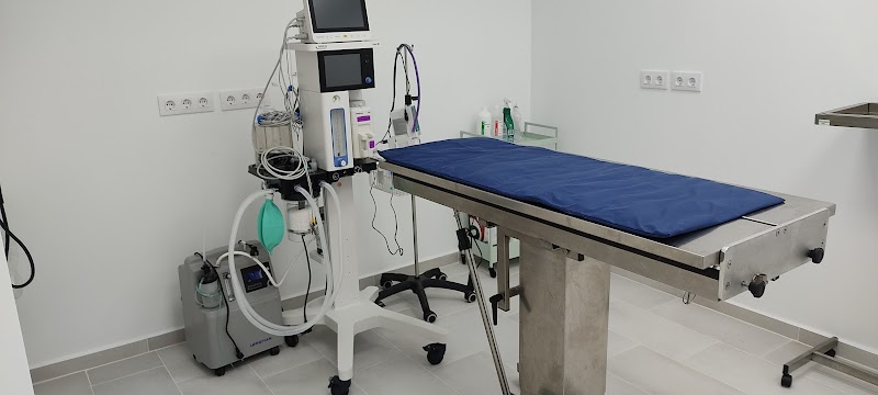 Clínica Veterinaria Vigo Grovalvet photo 1