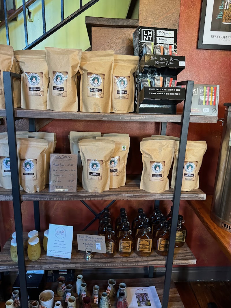 Mocha Monkey photo 3