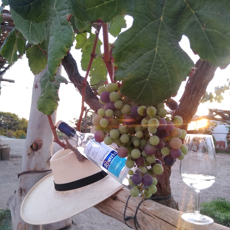Bodega Vitivinicola SORIA - Ica
