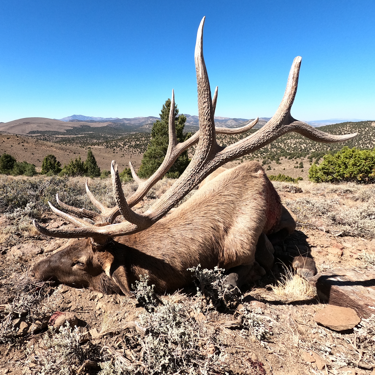 Mount Tobin Outfitters