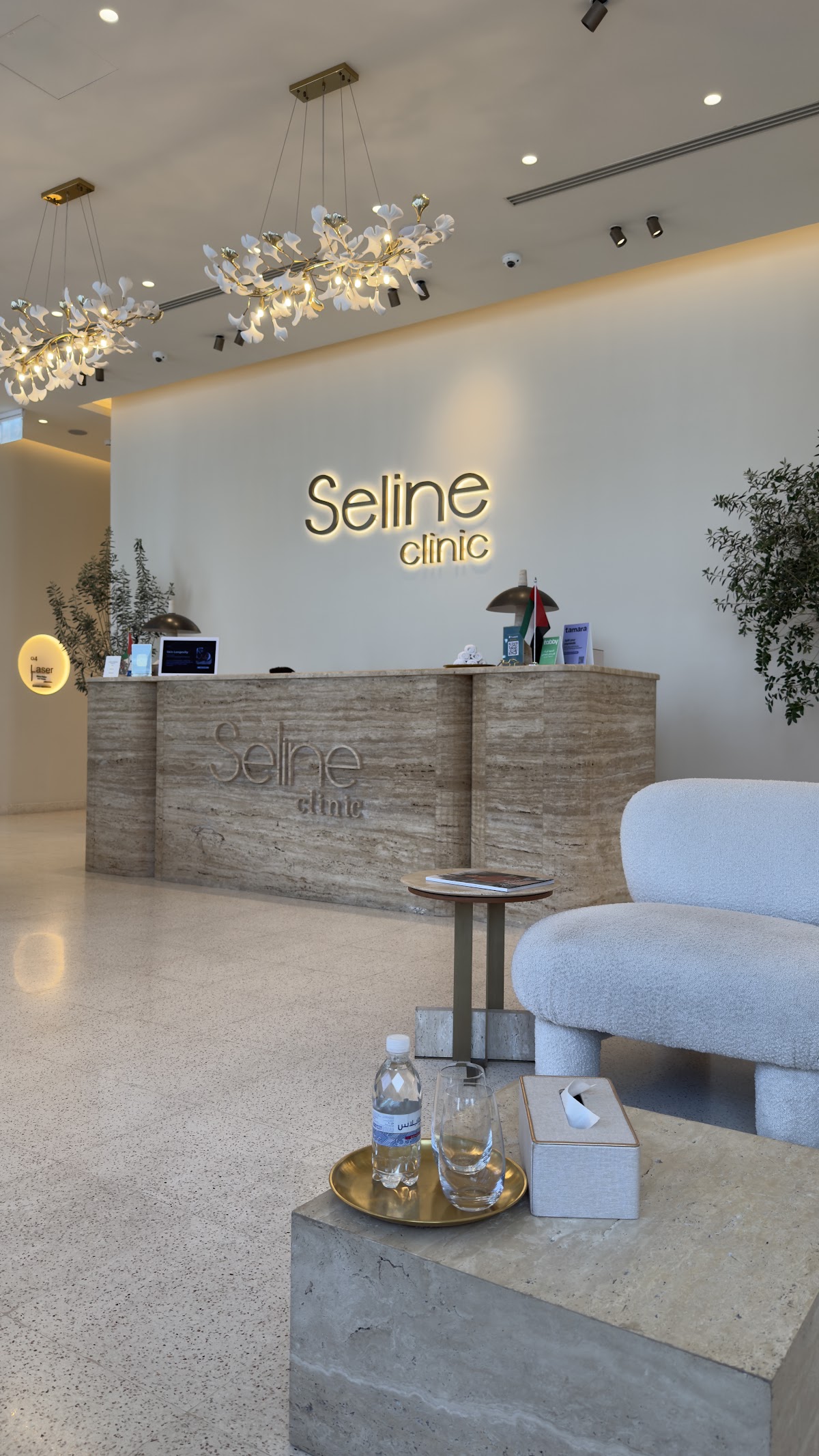 Seline Clinic Dubai 2