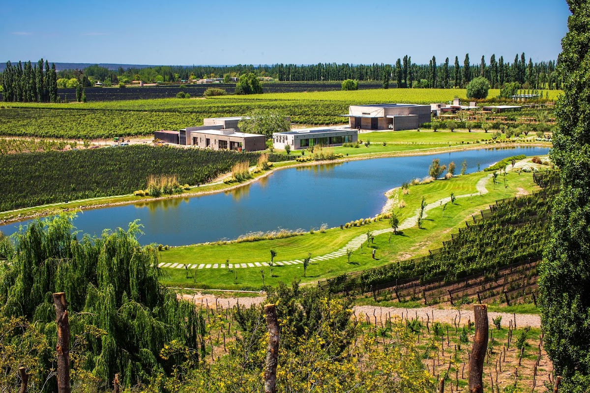DURIGUTTI FAMILY WINEMAKERS - FINCA VICTORIA :: #11 WORL'DS BEST VINEYARDS 2025