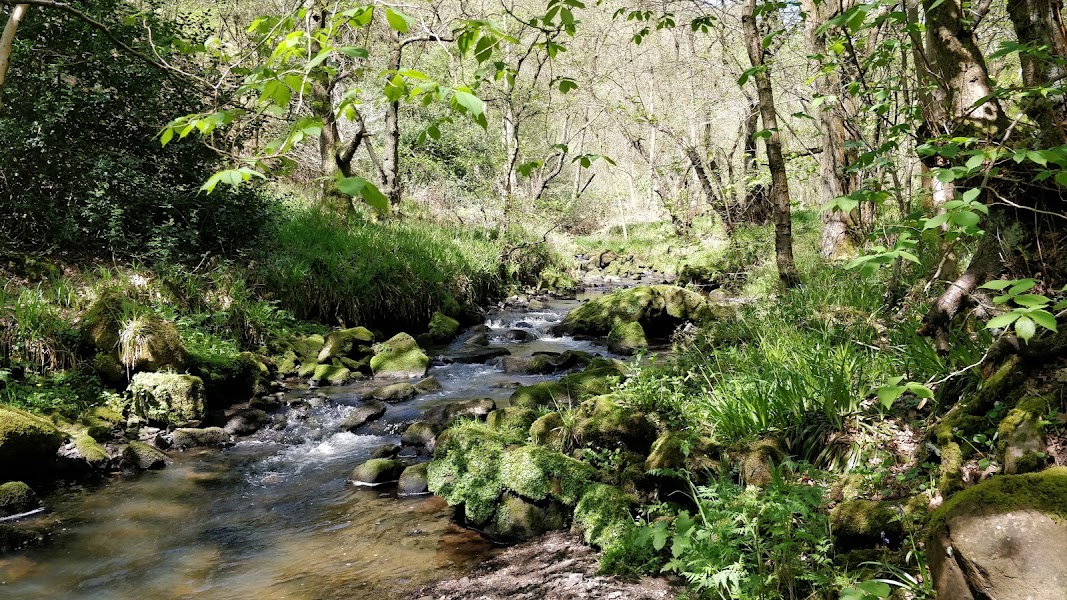 RSPB Coombes Valley