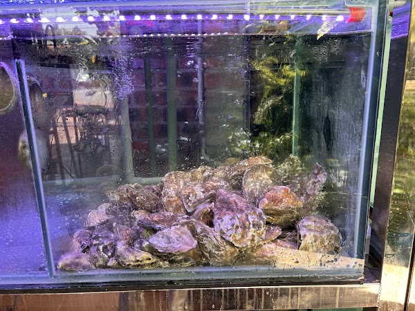 Restaurant Kabaya (Nyonya Live Seafood)