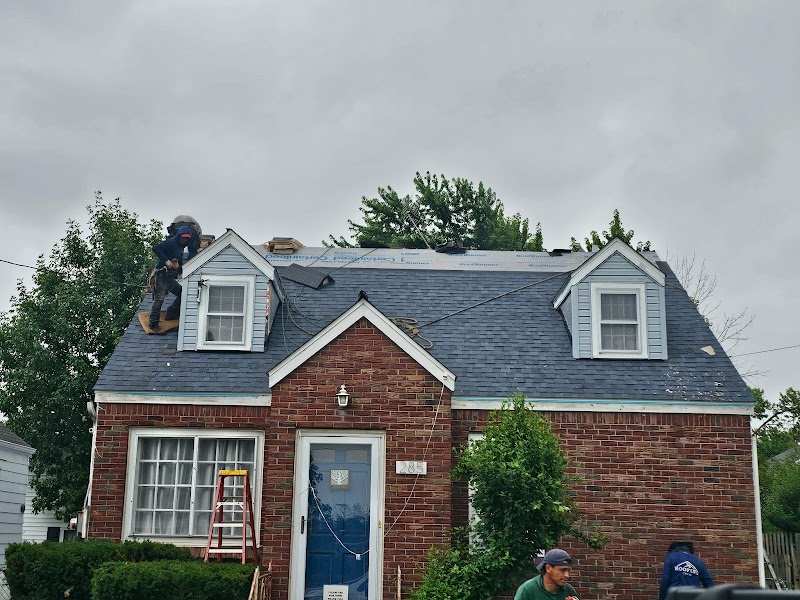 Dalex Roofing photo 4