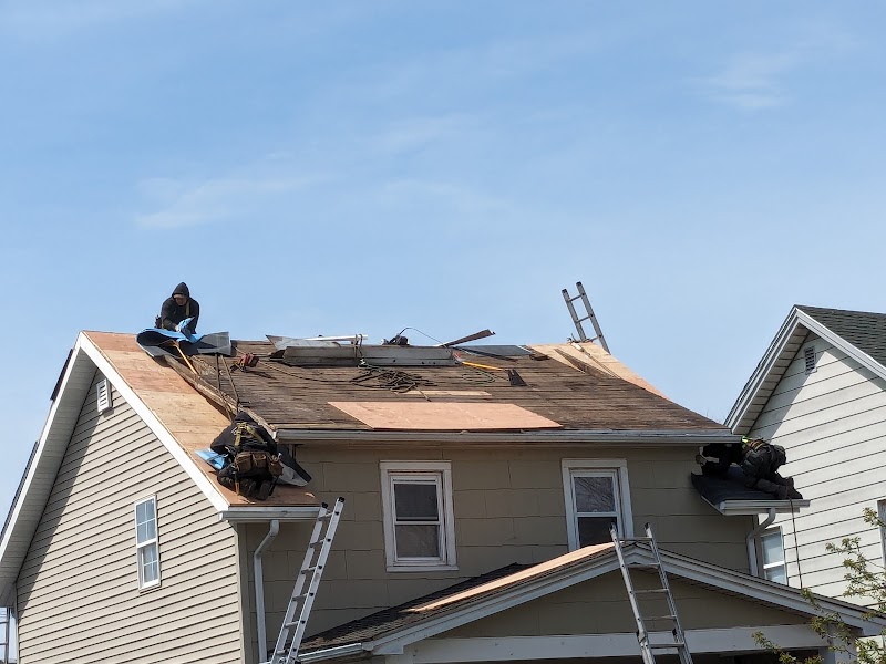 Dalex Roofing photo 2