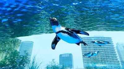 阳光水族馆