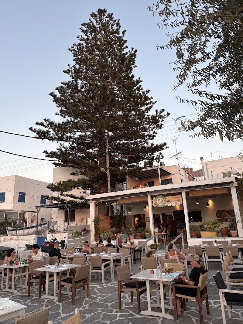 The Little Green Rocket