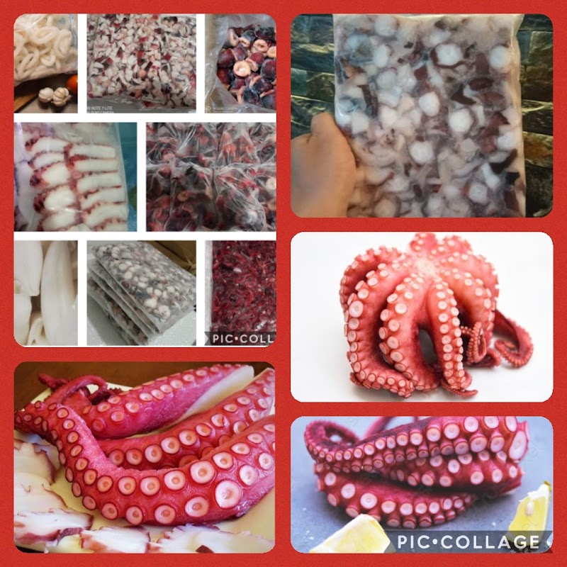 Octopus Choice