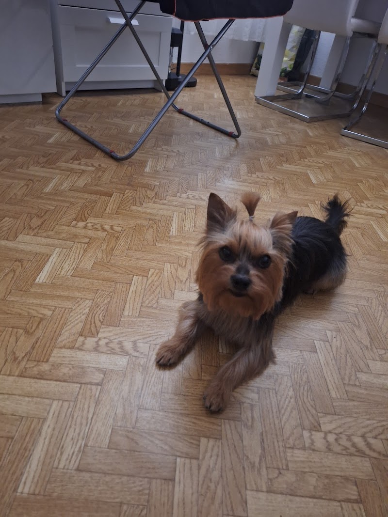 Clínica Veterinaria Hípica 29