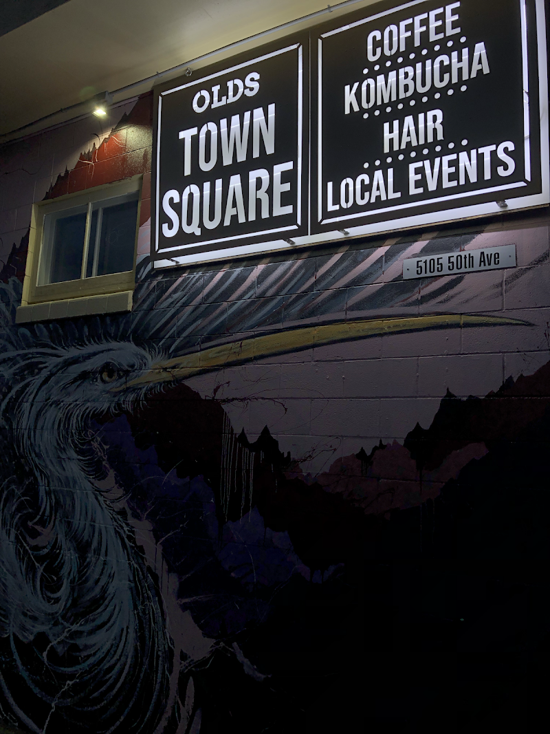 Olds Town Square photo 1