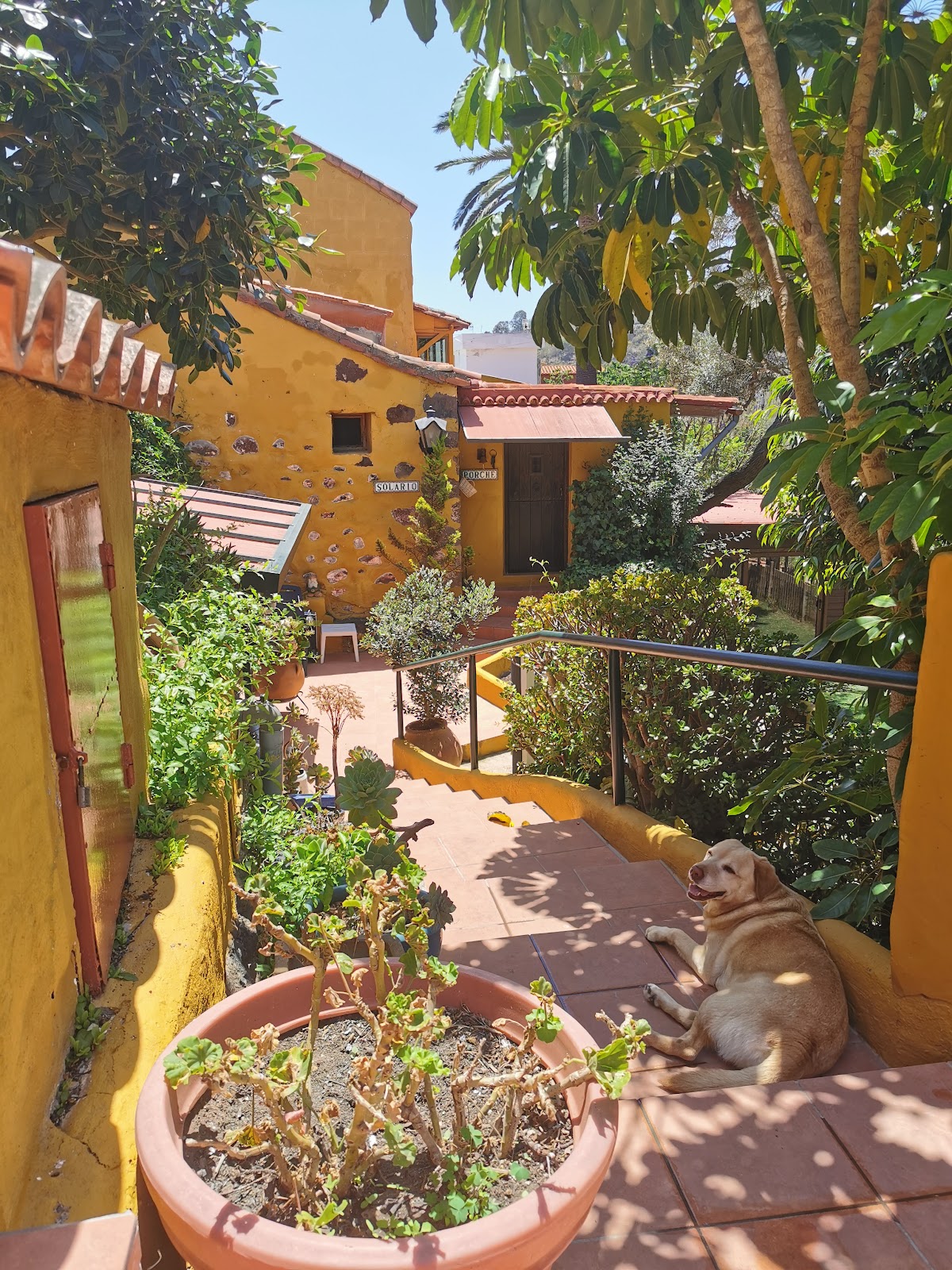 La Tejana — 4