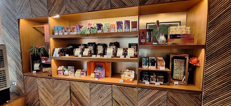 Auro Chocolate Cafe - BGC Flagship