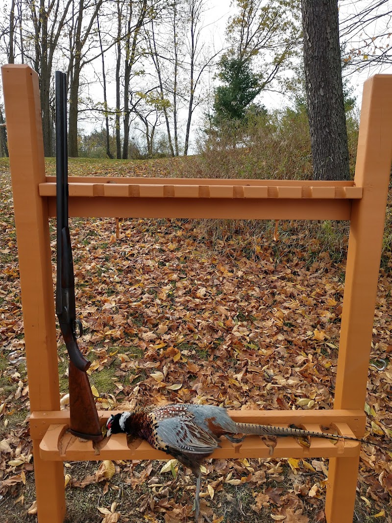 Wings and Rings Pheasant Hunting LLC - Photo 5