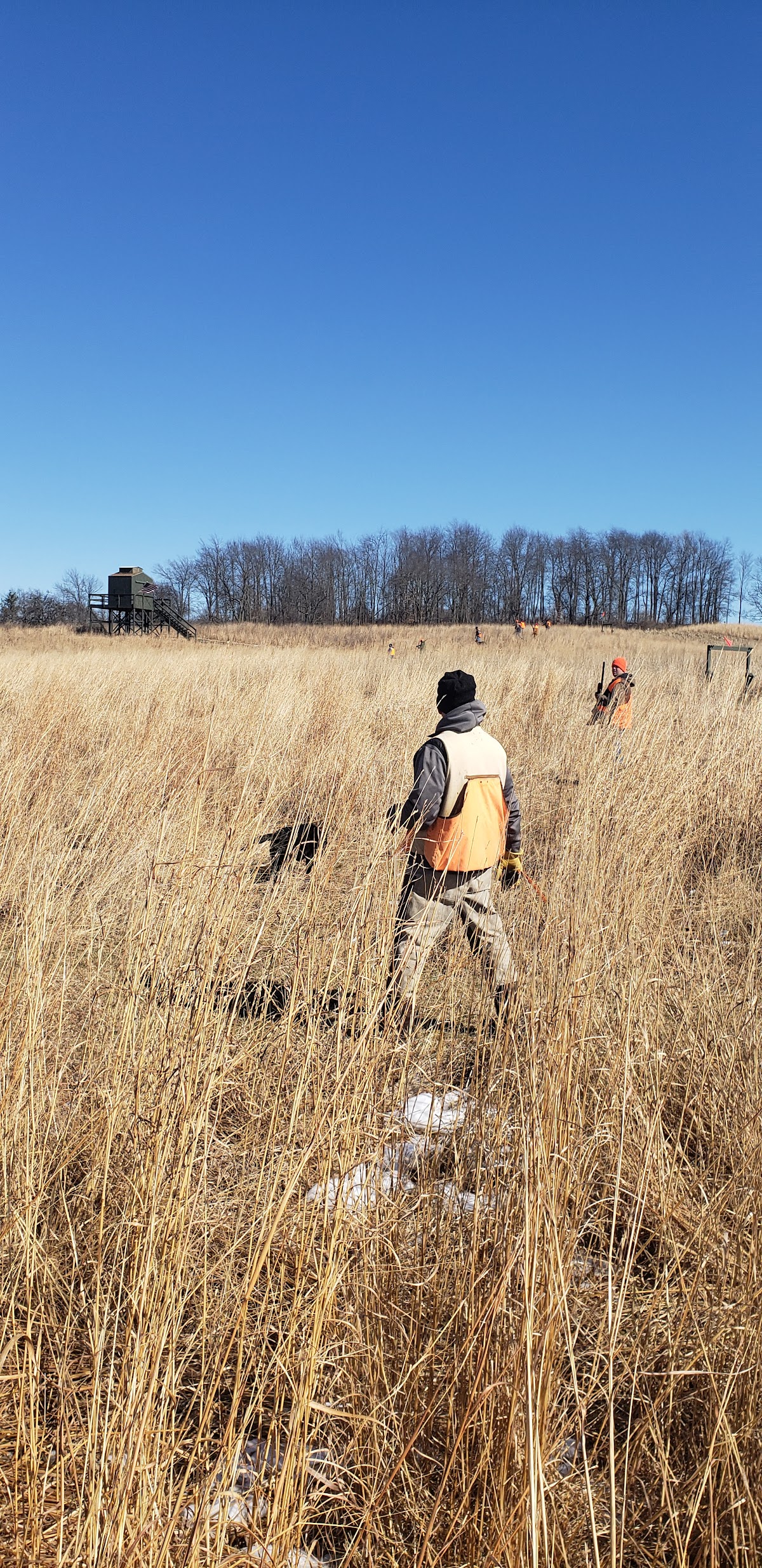 Wings and Rings Pheasant Hunting LLC