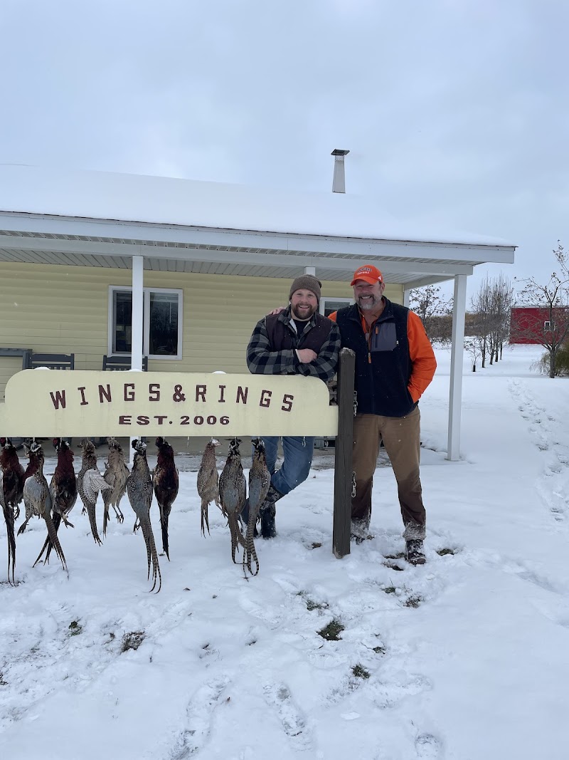 Wings and Rings Pheasant Hunting LLC - Photo 1