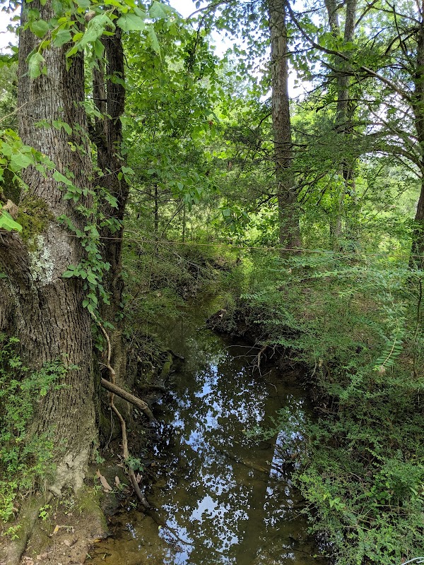 Birchwood 1