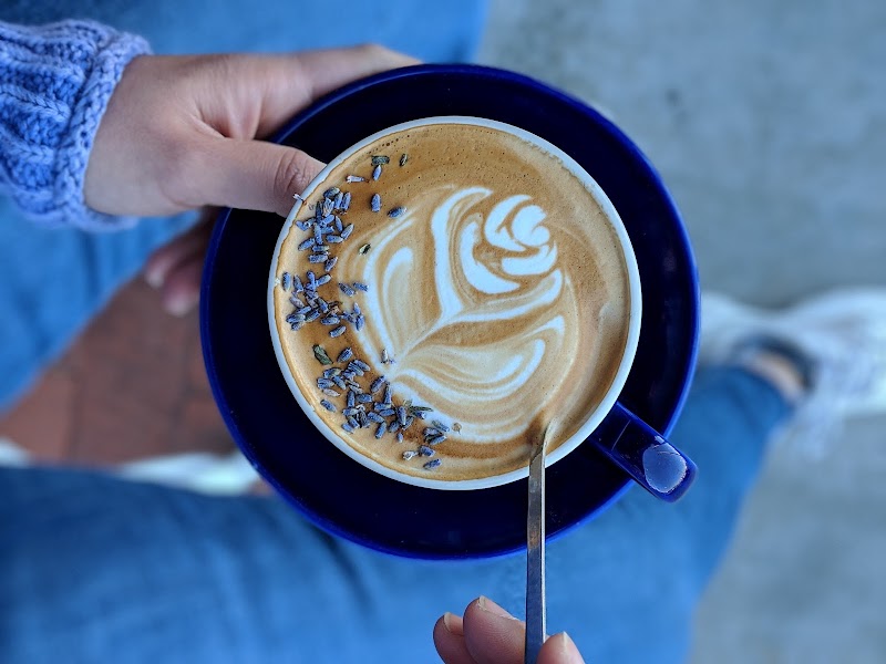 The Forum Coffee House photo 4