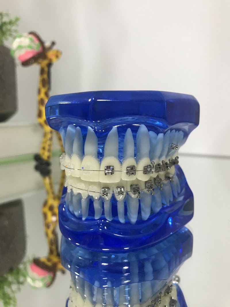 Dra. Amanda Monteiro - Invisalign | Ortodontia - foto 5