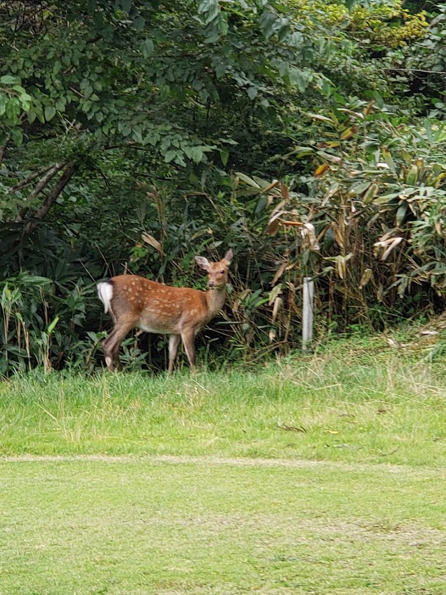 Okutsu Golf Club - Photo 4