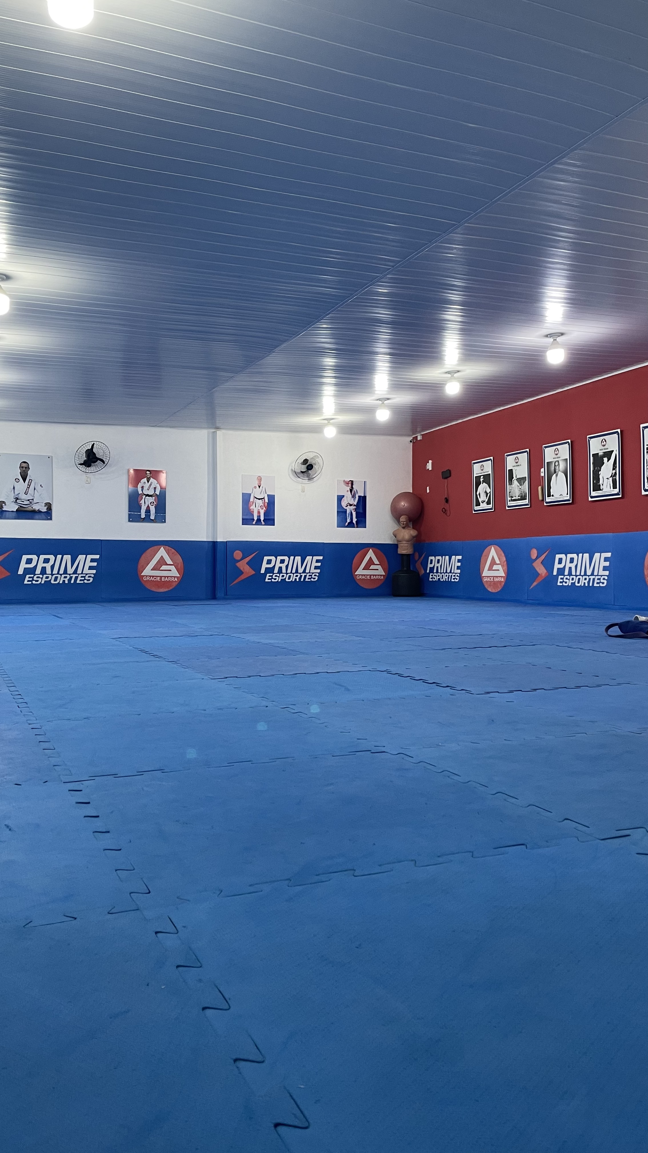 Gracie Barra Alagoas - Foto 1