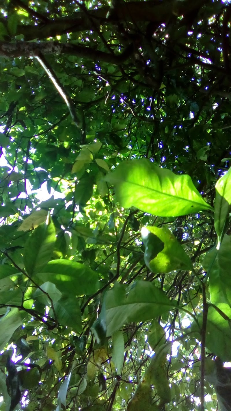 RENAULT Talleres Ricamonde S L photo 3