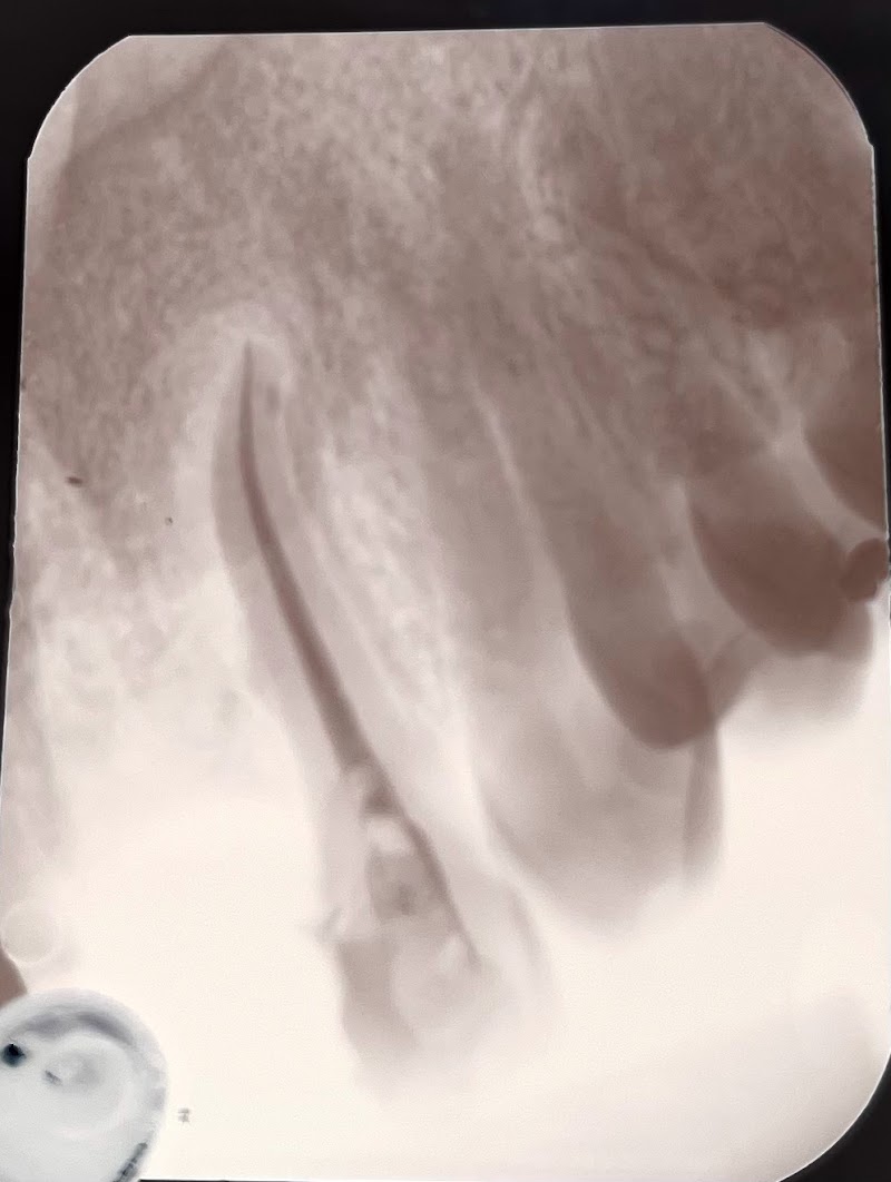 Andressa Rizzo Endodontista - foto 3