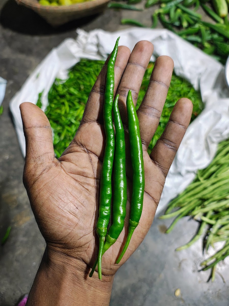 Maa Kali Vegetable Shop Google photo 4