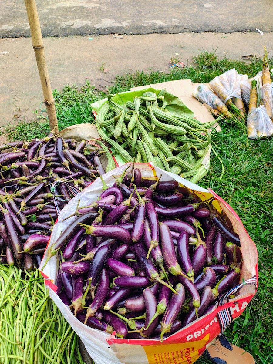 Maa Kali Vegetable Shop Google photo 2
