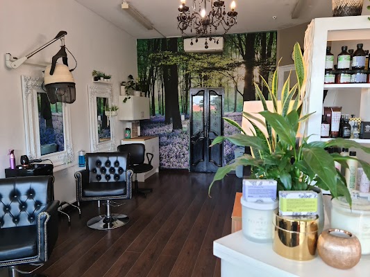 The View of Vaucluse