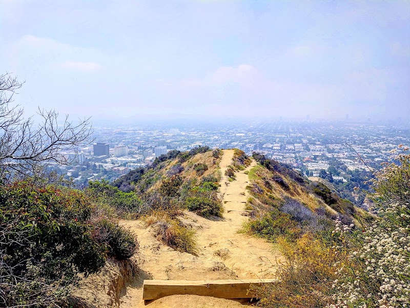 Runyon Canyon