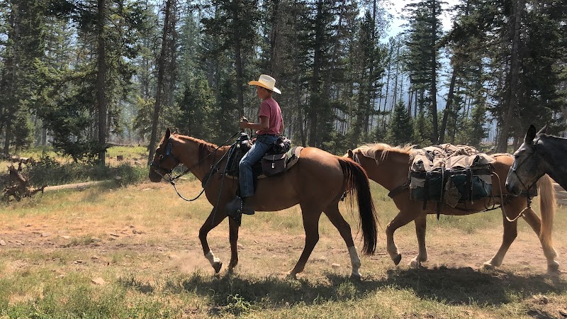 Diamond R Guest Ranch - Photo 4