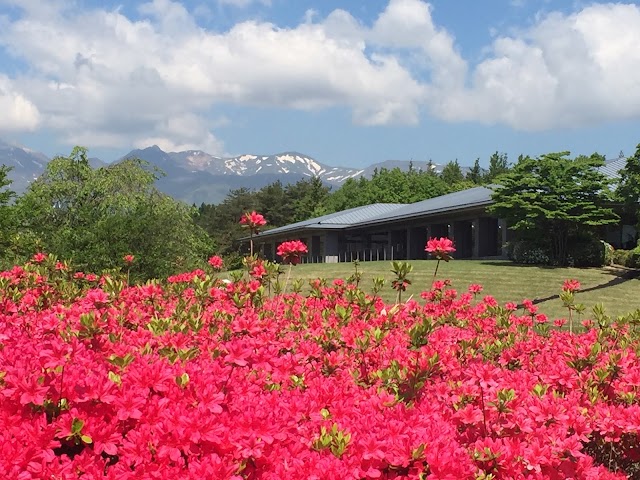 Nasu Chifuri Lake Country Club - Photo 1