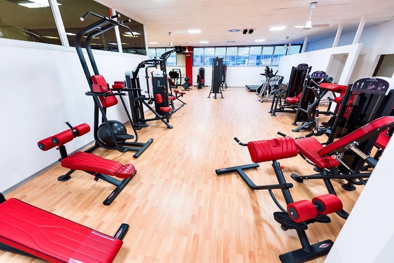 Evolution Fitness