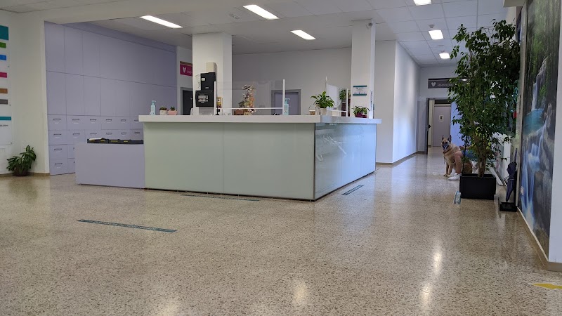 Hospital Veterinario Universitario Rof Codina photo 3