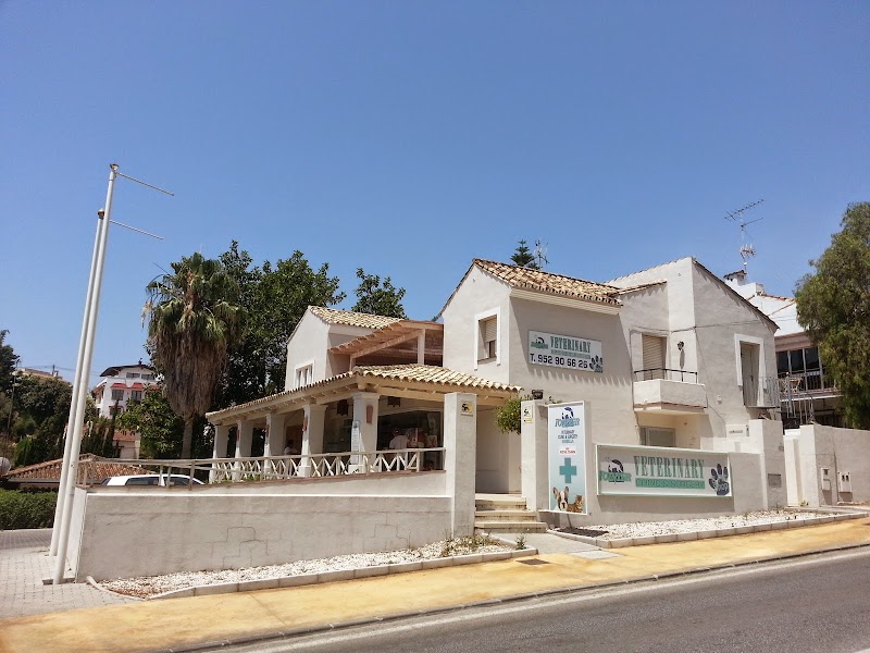Pointer Veterinary Clinic Marbella