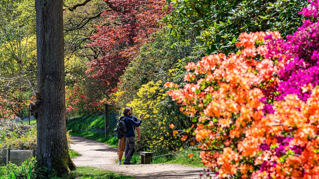Leonardslee Gardens