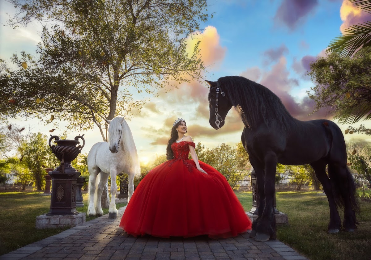 Alejandra Espinoza Productions: Google Places image 2