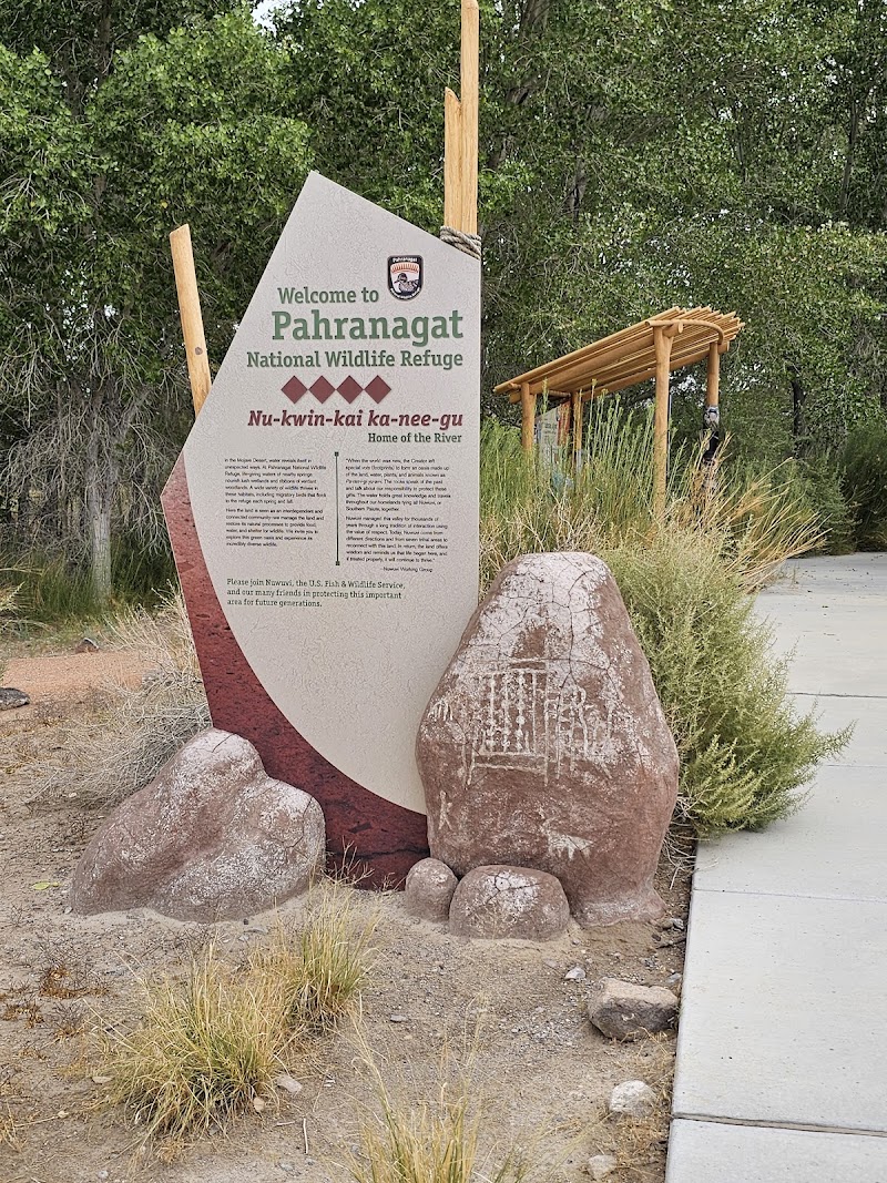 Pahranagat National Wildlife Refuge - Photo 6
