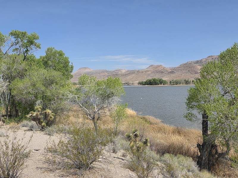 Pahranagat National Wildlife Refuge - Photo 4