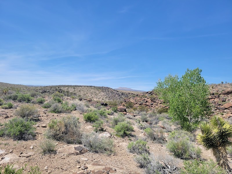 Pahranagat National Wildlife Refuge - Photo 3