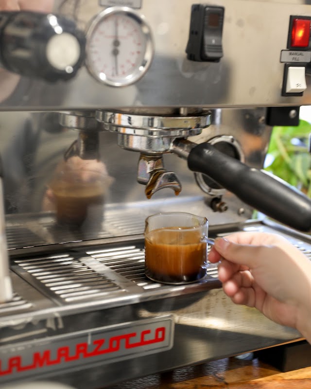 King Bean Coffee Roasters photo 4