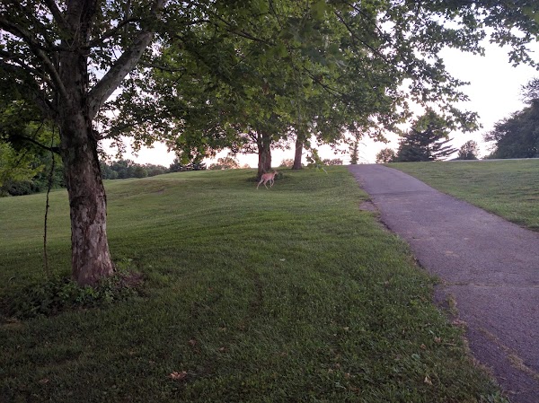 Photo by Robert Stearman